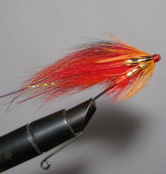 ���� ������� ���� TD Red Orange ( ��� ������ )